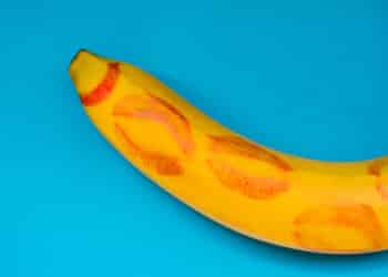 Penis Synonyme